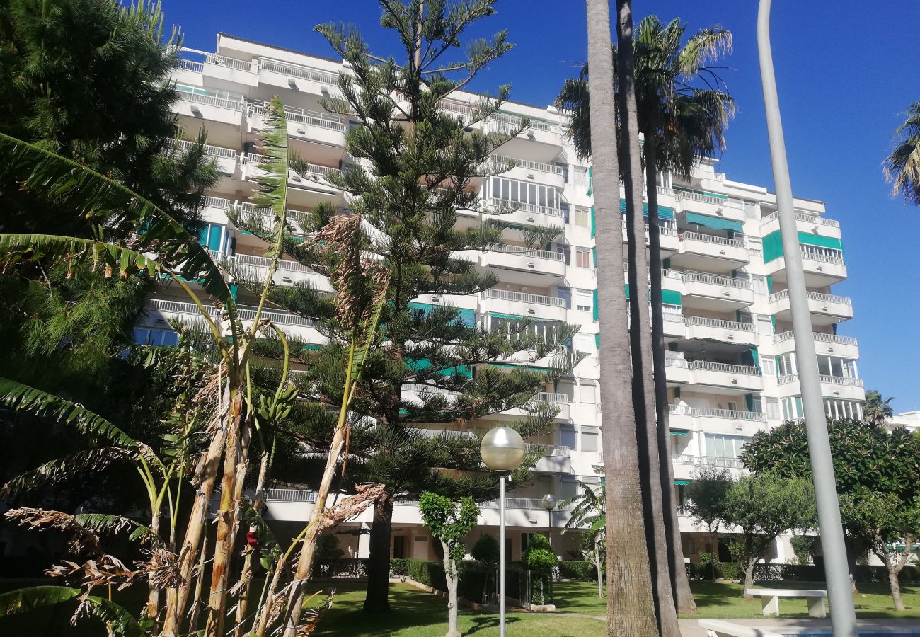 Apartamento en Playa de Gandía - 1.Parque IV esc. 1 1º pta 1