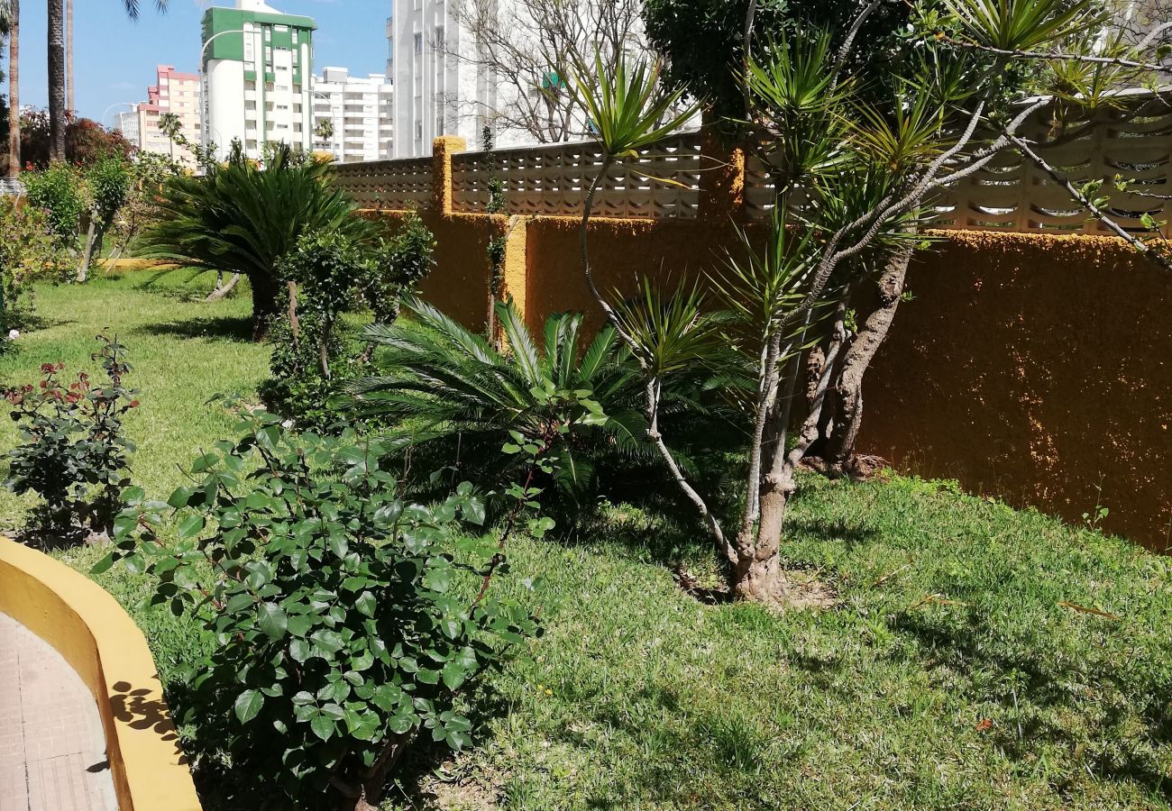 Apartamento en Playa de Gandía - 1.CANCUN VII esc.5 6º N