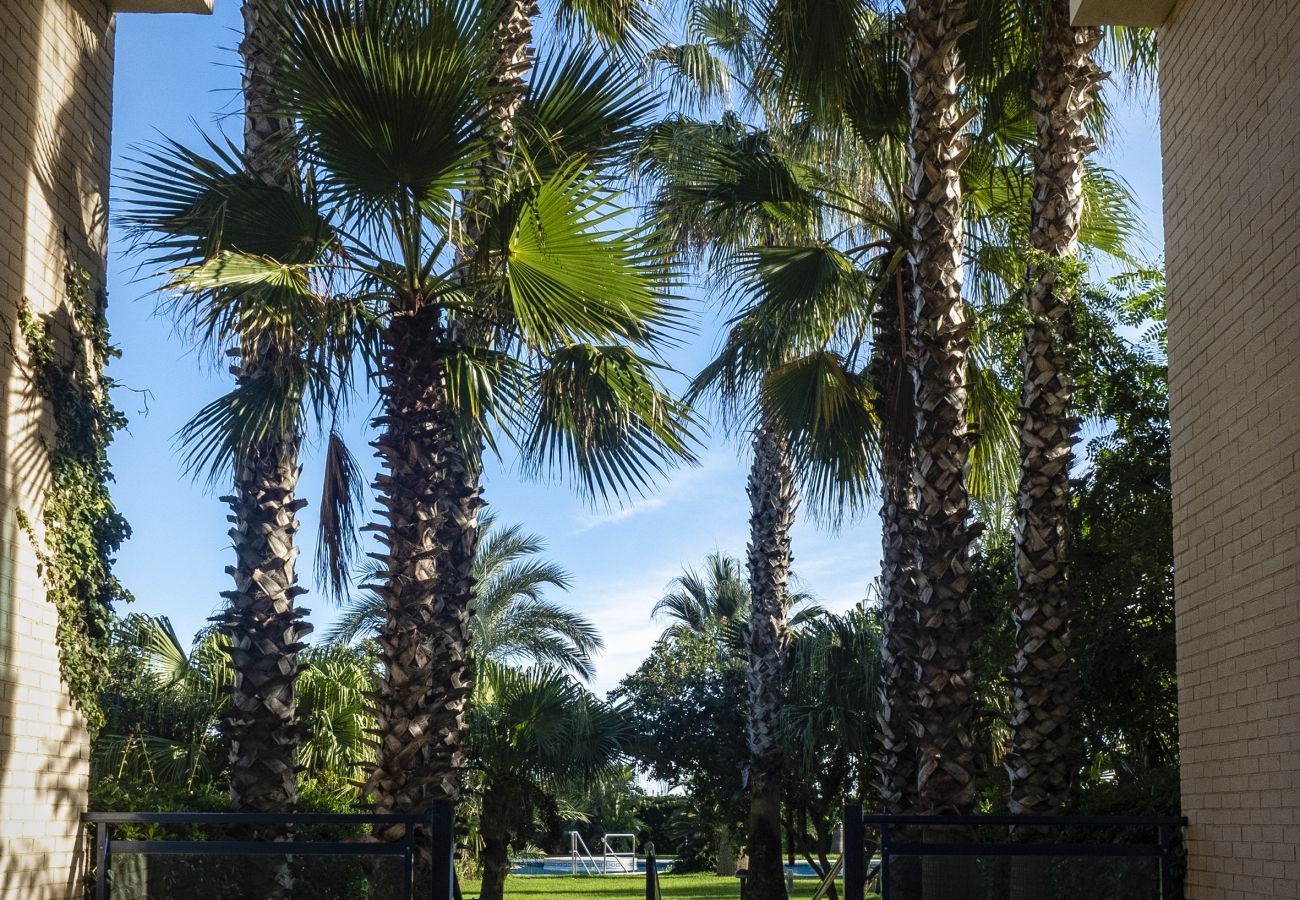 Vue sur le jardin