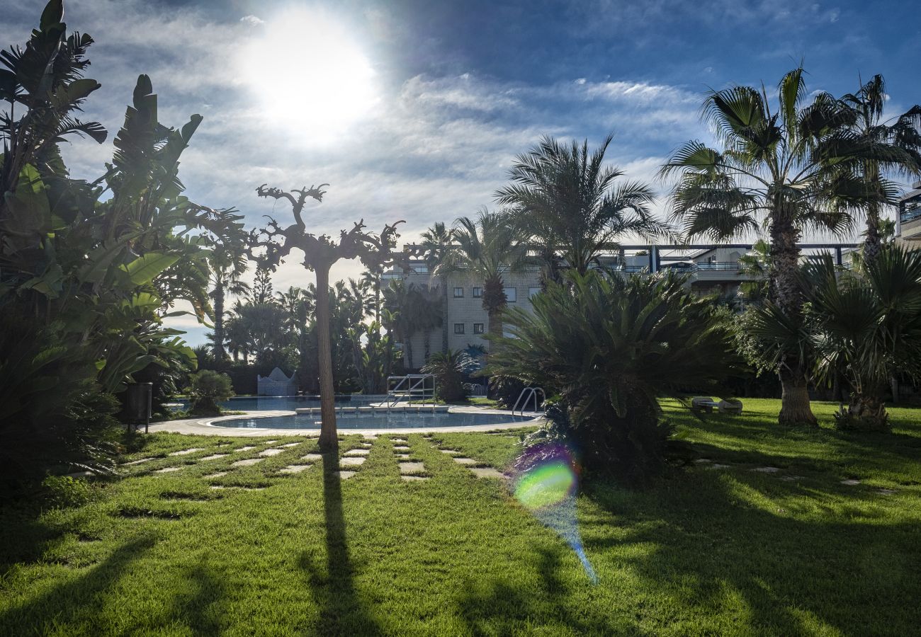 Vue sur le jardin